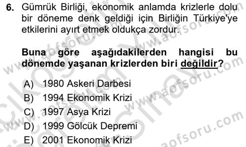 Avrupa Birliği ve Türkiye İlişkileri Dersi 2024 - 2025 Yılı (Vize) Ara Sınav Soruları 6. Soru