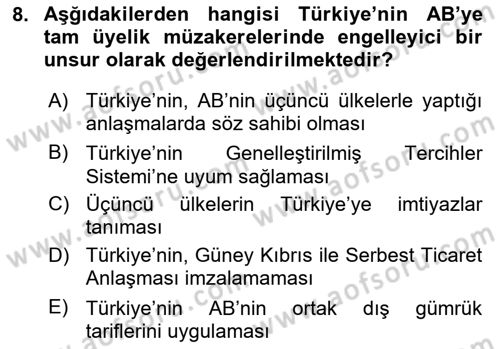 Avrupa Birliği ve Türkiye İlişkileri Dersi 2024 - 2025 Yılı (Vize) Ara Sınav Soruları 8. Soru