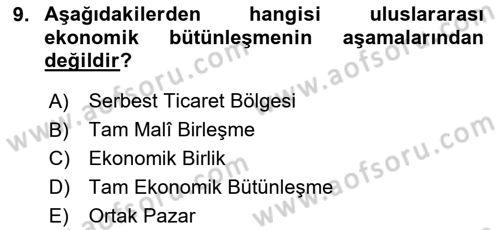 Avrupa Birliği ve Türkiye İlişkileri Dersi 2024 - 2025 Yılı (Vize) Ara Sınav Soruları 9. Soru