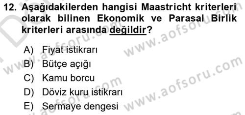 Avrupa Birliği ve Türkiye İlişkileri Dersi 2024 - 2025 Yılı (Final) Dönem Sonu Sınav Soruları 12. Soru