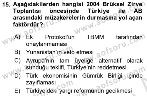 Avrupa Birliği ve Türkiye İlişkileri Dersi 2024 - 2025 Yılı (Final) Dönem Sonu Sınav Soruları 15. Soru