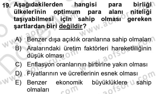 Avrupa Birliği ve Türkiye İlişkileri Dersi 2024 - 2025 Yılı (Final) Dönem Sonu Sınav Soruları 19. Soru