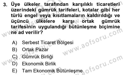 Avrupa Birliği ve Türkiye İlişkileri Dersi 2024 - 2025 Yılı (Final) Dönem Sonu Sınav Soruları 3. Soru
