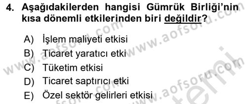 Avrupa Birliği ve Türkiye İlişkileri Dersi 2024 - 2025 Yılı (Final) Dönem Sonu Sınav Soruları 4. Soru