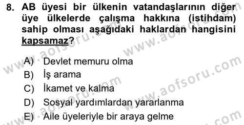 Avrupa Birliği ve Türkiye İlişkileri Dersi 2024 - 2025 Yılı (Final) Dönem Sonu Sınav Soruları 8. Soru