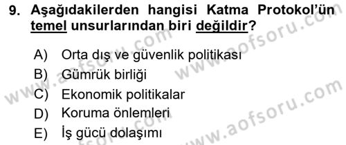 Avrupa Birliği ve Türkiye İlişkileri Dersi 2025 - 2026 Yılı (Vize) Ara Sınav Soruları 9. Soru