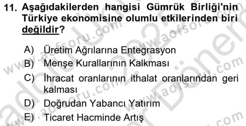 Avrupa Birliği ve Türkiye İlişkileri Dersi 2025 - 2026 Yılı (Final) Dönem Sonu Sınav Soruları 11. Soru