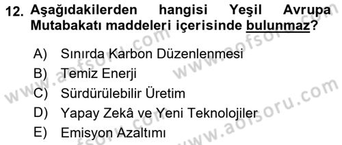 Avrupa Birliği ve Türkiye İlişkileri Dersi 2025 - 2026 Yılı (Final) Dönem Sonu Sınav Soruları 12. Soru