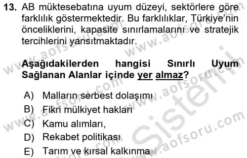Avrupa Birliği ve Türkiye İlişkileri Dersi 2025 - 2026 Yılı (Final) Dönem Sonu Sınav Soruları 13. Soru