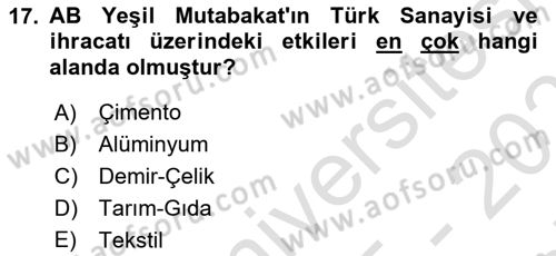 Avrupa Birliği ve Türkiye İlişkileri Dersi 2025 - 2026 Yılı (Final) Dönem Sonu Sınav Soruları 17. Soru