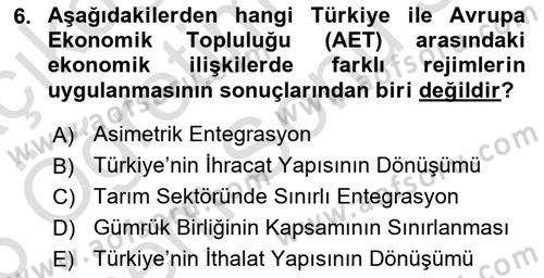 Avrupa Birliği ve Türkiye İlişkileri Dersi 2025 - 2026 Yılı (Final) Dönem Sonu Sınav Soruları 6. Soru