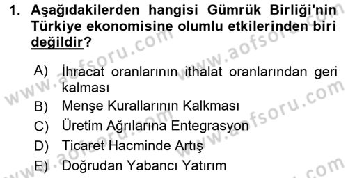 Avrupa Birliği ve Türkiye İlişkileri Dersi 2025 - 2026 Yılı Yaz Okulu Sınav Soruları 1. Soru