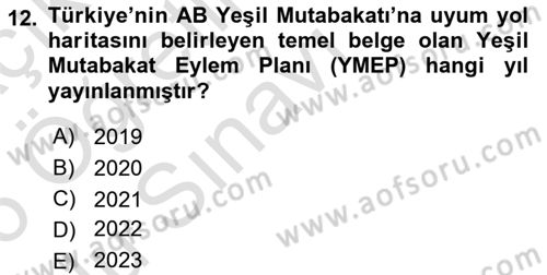 Avrupa Birliği ve Türkiye İlişkileri Dersi 2025 - 2026 Yılı Yaz Okulu Sınav Soruları 12. Soru