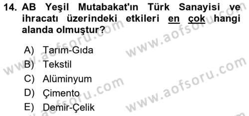 Avrupa Birliği ve Türkiye İlişkileri Dersi 2025 - 2026 Yılı Yaz Okulu Sınav Soruları 14. Soru