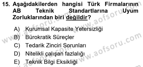 Avrupa Birliği ve Türkiye İlişkileri Dersi 2025 - 2026 Yılı Yaz Okulu Sınav Soruları 15. Soru