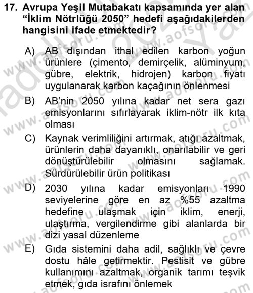 Avrupa Birliği ve Türkiye İlişkileri Dersi 2025 - 2026 Yılı Yaz Okulu Sınav Soruları 17. Soru