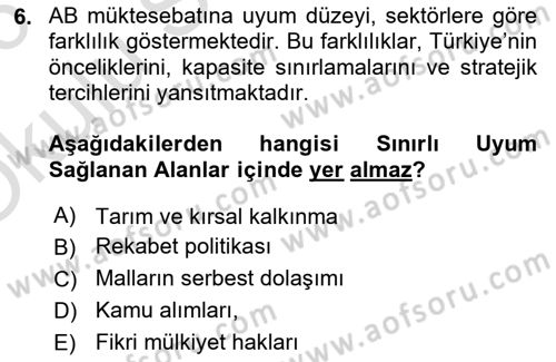 Avrupa Birliği ve Türkiye İlişkileri Dersi 2025 - 2026 Yılı Yaz Okulu Sınav Soruları 6. Soru