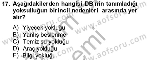 Ekonominin Güncel Sorunları Dersi 2012 - 2013 Yılı (Vize) Ara Sınav Soruları 17. Soru