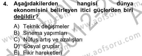 Ekonominin Güncel Sorunları Dersi 2012 - 2013 Yılı (Vize) Ara Sınav Soruları 4. Soru