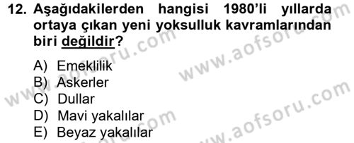 Ekonominin Güncel Sorunları Dersi 2013 - 2014 Yılı (Vize) Ara Sınav Soruları 12. Soru