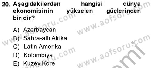 Ekonominin Güncel Sorunları Dersi 2014 - 2015 Yılı (Vize) Ara Sınavı 20. Soru