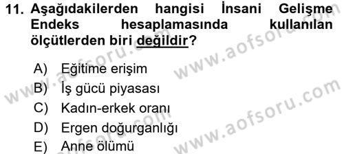 Ekonominin Güncel Sorunları Dersi 2015 - 2016 Yılı (Vize) Ara Sınav Soruları 11. Soru