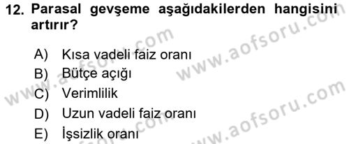 Ekonominin Güncel Sorunları Dersi 2017 - 2018 Yılı 3 Ders Sınav Soruları 12. Soru