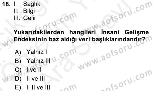 Ekonominin Güncel Sorunları Dersi 2017 - 2018 Yılı (Vize) Ara Sınav Soruları 18. Soru