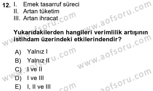 Ekonominin Güncel Sorunları Dersi 2018 - 2019 Yılı 3 Ders Sınav Soruları 12. Soru