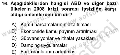 Ekonominin Güncel Sorunları Dersi 2018 - 2019 Yılı 3 Ders Sınav Soruları 16. Soru