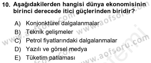 Ekonominin Güncel Sorunları Dersi 2018 - 2019 Yılı (Vize) Ara Sınavı 10. Soru