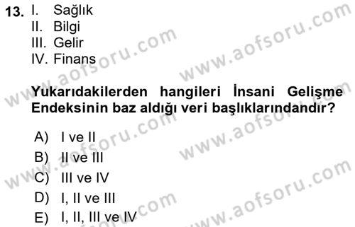 Ekonominin Güncel Sorunları Dersi 2018 - 2019 Yılı (Vize) Ara Sınavı 13. Soru