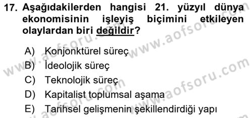 Ekonominin Güncel Sorunları Dersi 2018 - 2019 Yılı (Vize) Ara Sınavı 17. Soru