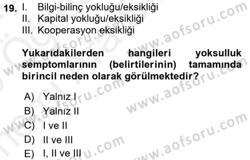 Ekonominin Güncel Sorunları Dersi 2018 - 2019 Yılı (Vize) Ara Sınavı 19. Soru