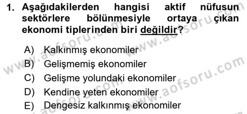 Ekonominin Güncel Sorunları Dersi 2018 - 2019 Yılı Yaz Okulu Sınav Soruları 1. Soru