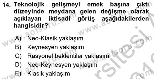 Ekonominin Güncel Sorunları Dersi 2018 - 2019 Yılı Yaz Okulu Sınav Soruları 14. Soru