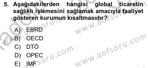 Ekonominin Güncel Sorunları Dersi 2018 - 2019 Yılı Yaz Okulu Sınav Soruları 5. Soru