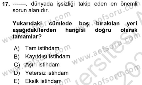 Ekonominin Güncel Sorunları Dersi 2020 - 2021 Yılı Yaz Okulu Sınav Soruları 17. Soru