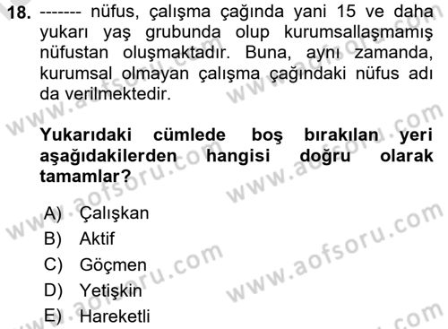 Ekonominin Güncel Sorunları Dersi 2020 - 2021 Yılı Yaz Okulu Sınav Soruları 18. Soru