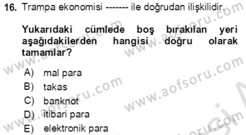 Ekonominin Güncel Sorunları Dersi 2021 - 2022 Yılı (Vize) Ara Sınavı 16. Soru