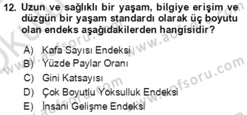 Ekonominin Güncel Sorunları Dersi 2021 - 2022 Yılı Yaz Okulu Sınav Soruları 12. Soru