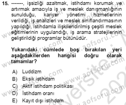 Ekonominin Güncel Sorunları Dersi 2021 - 2022 Yılı Yaz Okulu Sınav Soruları 15. Soru