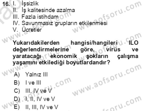 Ekonominin Güncel Sorunları Dersi 2021 - 2022 Yılı Yaz Okulu Sınav Soruları 16. Soru
