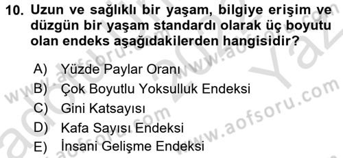 Ekonominin Güncel Sorunları Dersi 2022 - 2023 Yılı Yaz Okulu Sınav Soruları 10. Soru