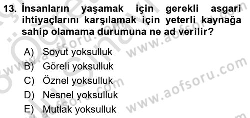 Ekonominin Güncel Sorunları Dersi 2022 - 2023 Yılı Yaz Okulu Sınav Soruları 13. Soru