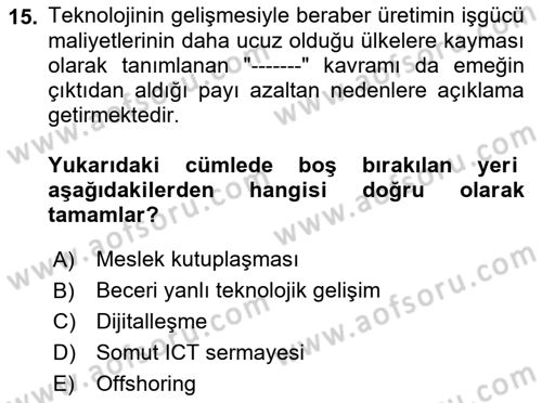 Ekonominin Güncel Sorunları Dersi 2022 - 2023 Yılı Yaz Okulu Sınav Soruları 15. Soru