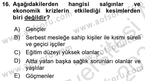 Ekonominin Güncel Sorunları Dersi 2022 - 2023 Yılı Yaz Okulu Sınav Soruları 16. Soru