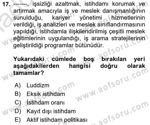Ekonominin Güncel Sorunları Dersi 2022 - 2023 Yılı Yaz Okulu Sınav Soruları 17. Soru