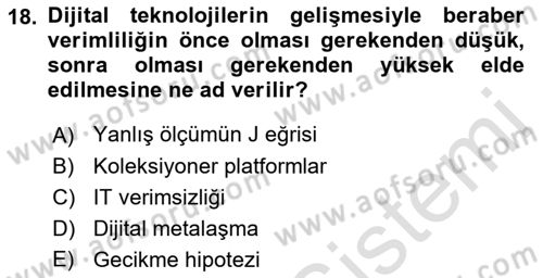 Ekonominin Güncel Sorunları Dersi 2022 - 2023 Yılı Yaz Okulu Sınav Soruları 18. Soru