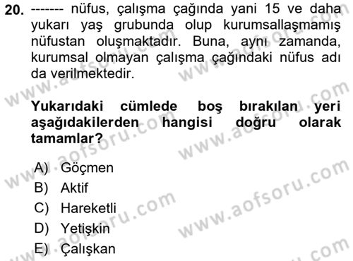Ekonominin Güncel Sorunları Dersi 2022 - 2023 Yılı Yaz Okulu Sınav Soruları 20. Soru
